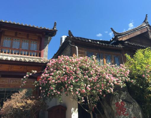 毕业季 带上华为G9青春版见证青春