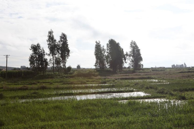 用 vivo X9s Plus记录 那些关于腾冲的似水年华