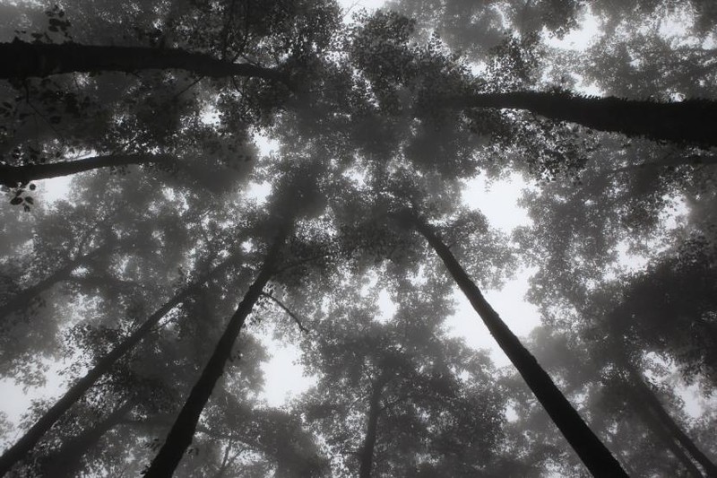 用 vivo X9s Plus记录 那些关于腾冲的似水年华