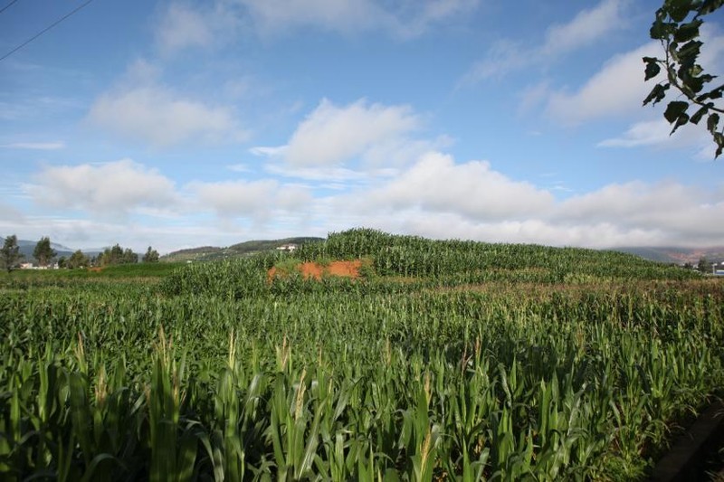 用 vivo X9s Plus记录 那些关于腾冲的似水年华