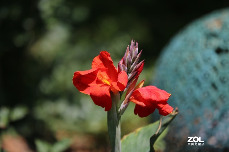 没p 直出 花花｛大师谁知道为啥我的数据不显示 70-200 2.8 is Ⅱ｝