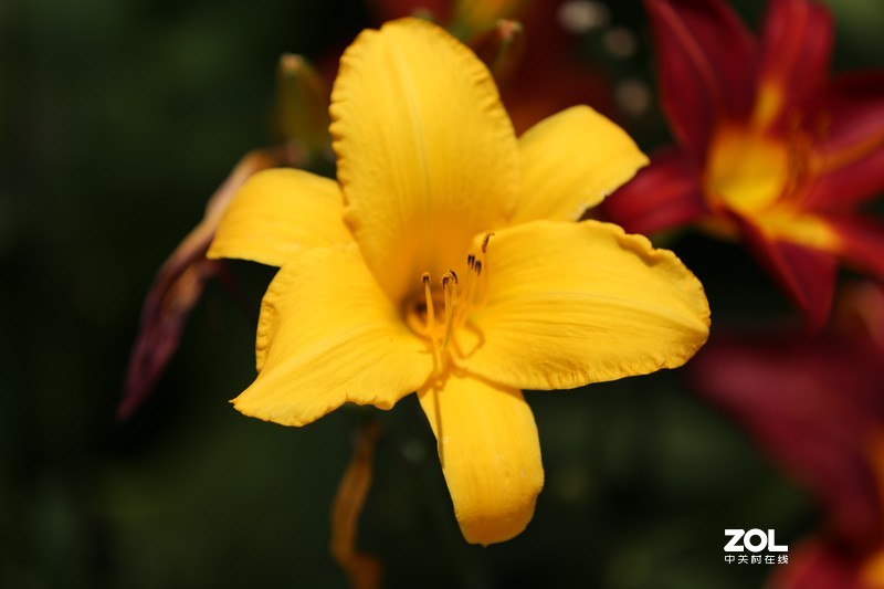 没p 直出 花花｛大师谁知道为啥我的数据不显示 70-200 2.8 is Ⅱ｝