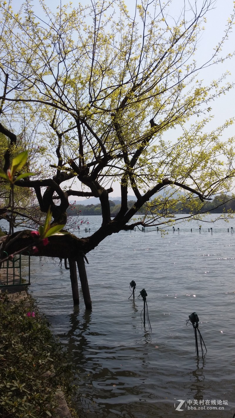 西湖美景