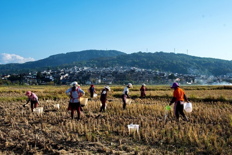 #回顾2019# 《云南人文》在云南这块贫瘠的土地上，生息着50多个民族
