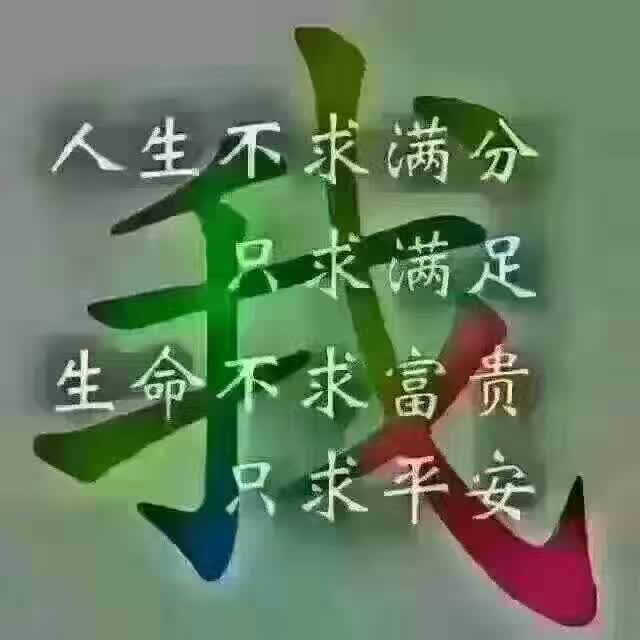 萌萌猫