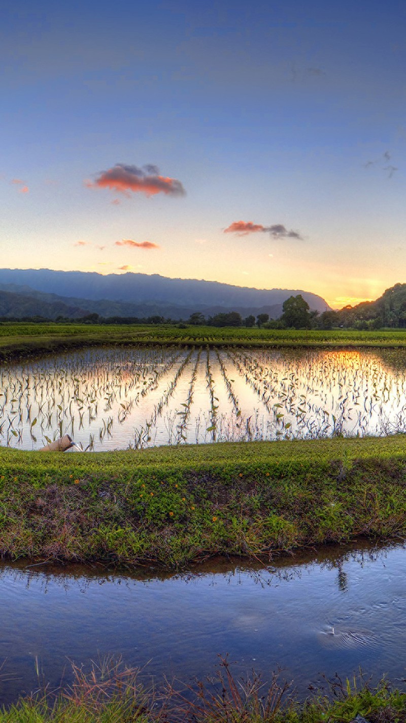 win10聚焦壁纸手机版8p