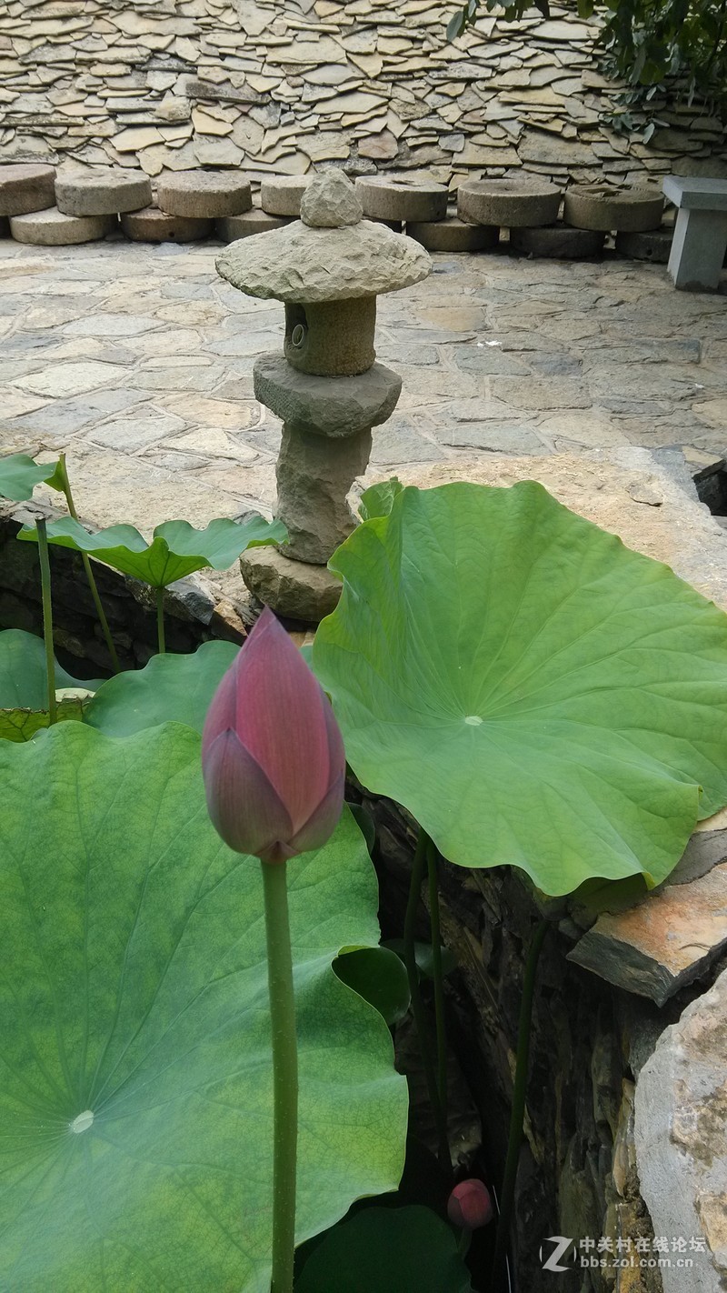 小米2s随拍，32G版本