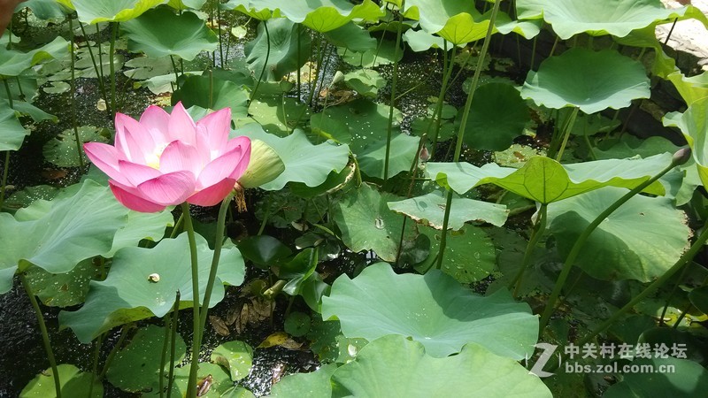 小米2s随拍，32G版本