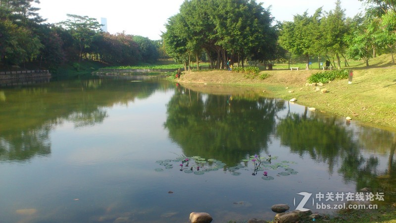 st18i记录下来的深圳公园