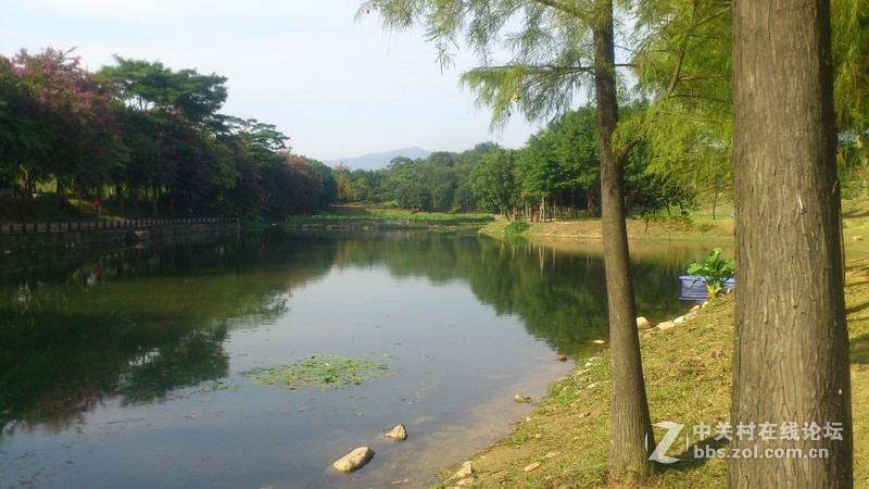 st18i记录下来的深圳公园