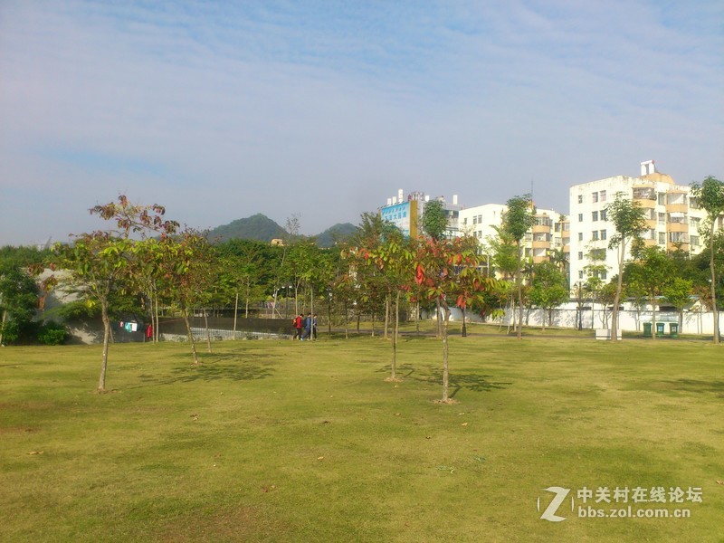 st18i记录下来的深圳公园