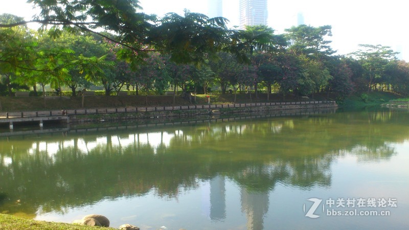 st18i记录下来的深圳公园