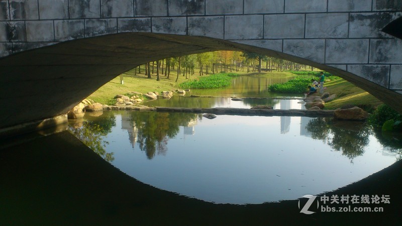 st18i记录下来的深圳公园