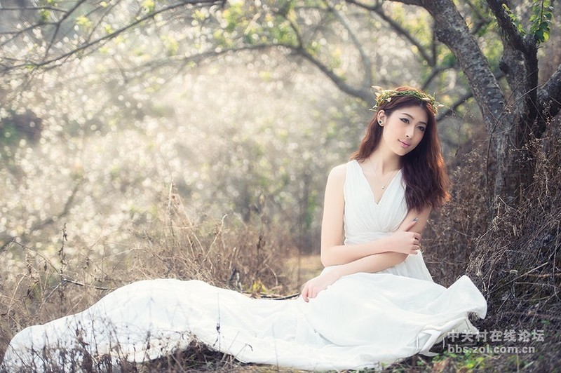 元旦香雪公园摄影福利