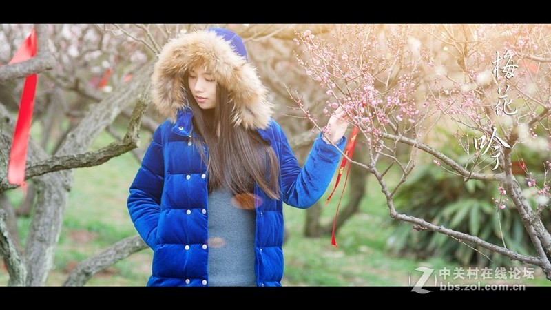 元旦香雪公园摄影福利