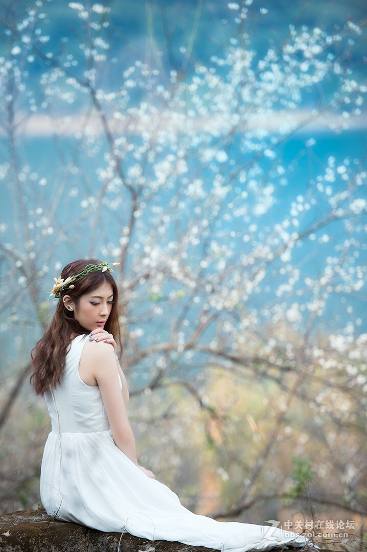 元旦香雪公园摄影福利