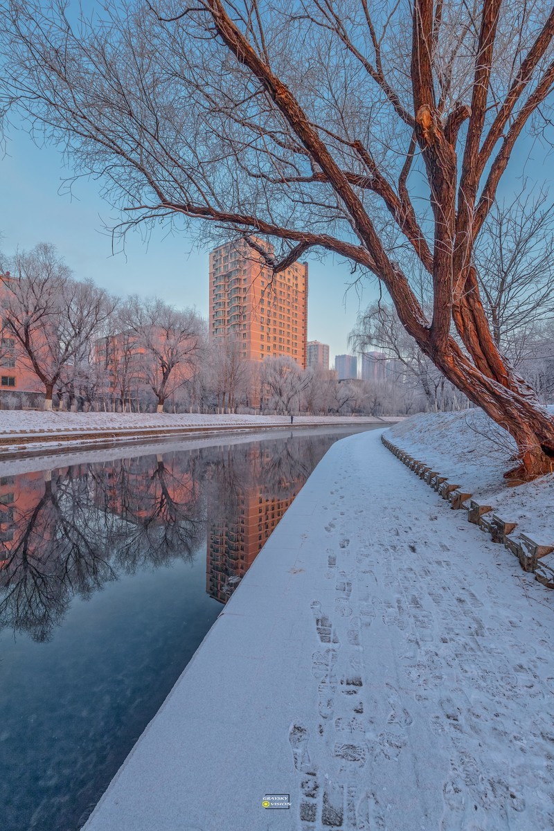 城市雪景