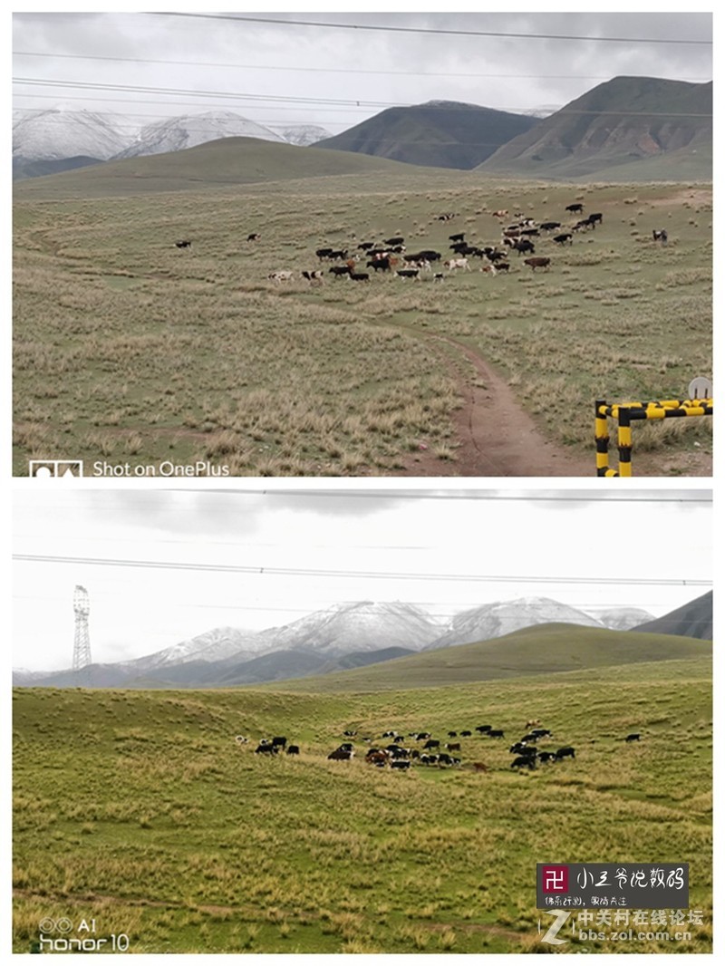 【小三爷评测】一加6与荣耀10两款性价比“吃鸡”神器的对决