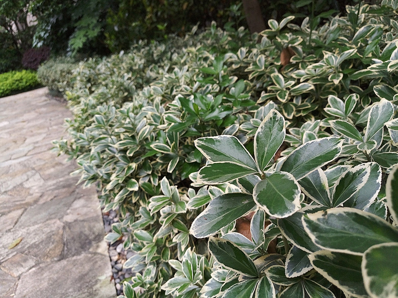 #轻易不说完美#小有乾坤，薄中见锐！魅族PRO6拍摄的魅力（八）