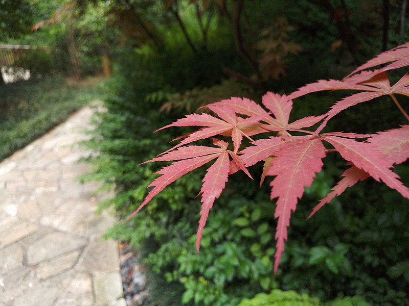 #轻易不说完美#小有乾坤，薄中见锐！魅族PRO6拍摄的魅力（八）