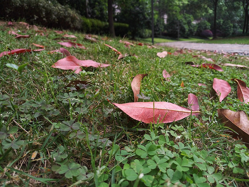 #轻易不说完美#小有乾坤，薄中见锐！魅族PRO6拍摄的魅力（八）