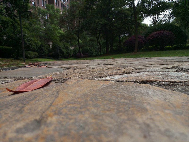 #轻易不说完美#小有乾坤，薄中见锐！魅族PRO6拍摄的魅力（八）