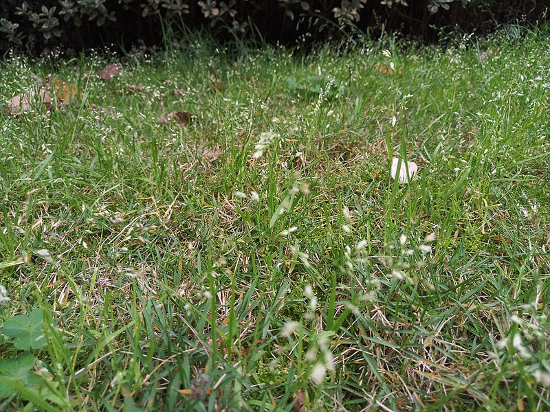 #轻易不说完美#小有乾坤，薄中见锐！魅族PRO6拍摄的魅力（八）