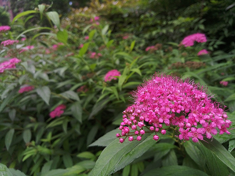 #轻易不说完美#小有乾坤，薄中见锐！魅族PRO6拍摄的魅力（八）