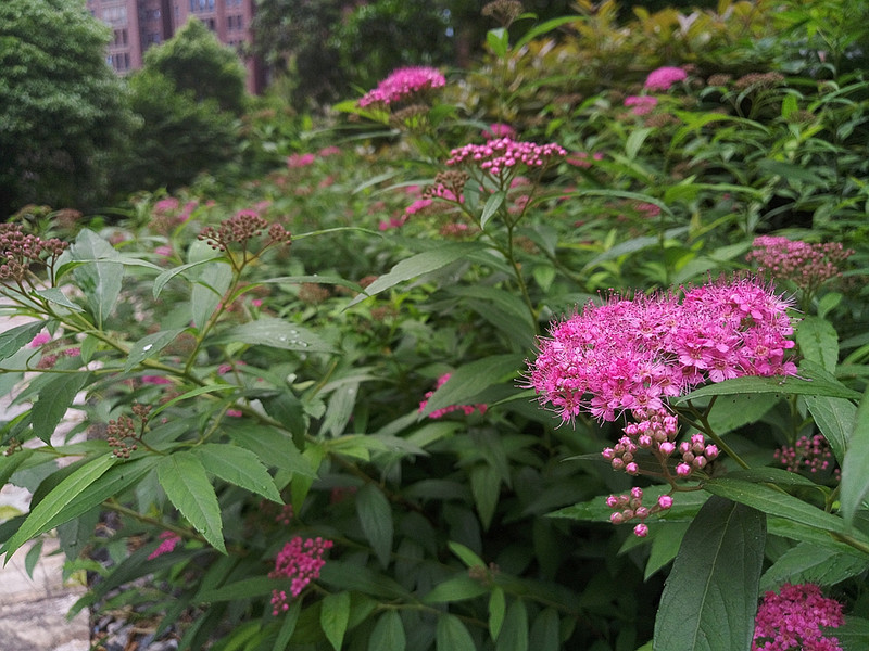 #轻易不说完美#小有乾坤，薄中见锐！魅族PRO6拍摄的魅力（八）