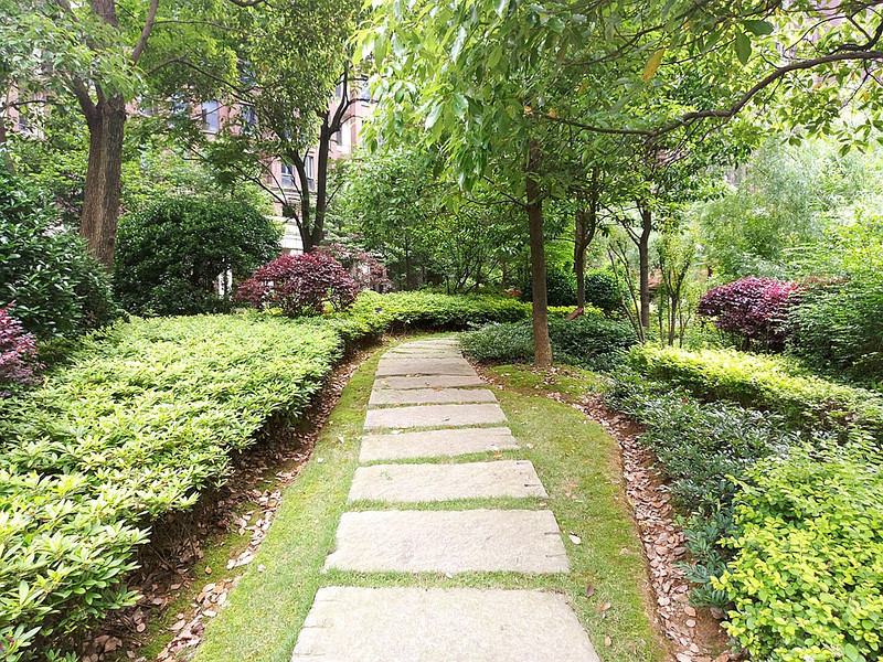 #轻易不说完美#小有乾坤，薄中见锐！魅族PRO6拍摄的魅力（八）