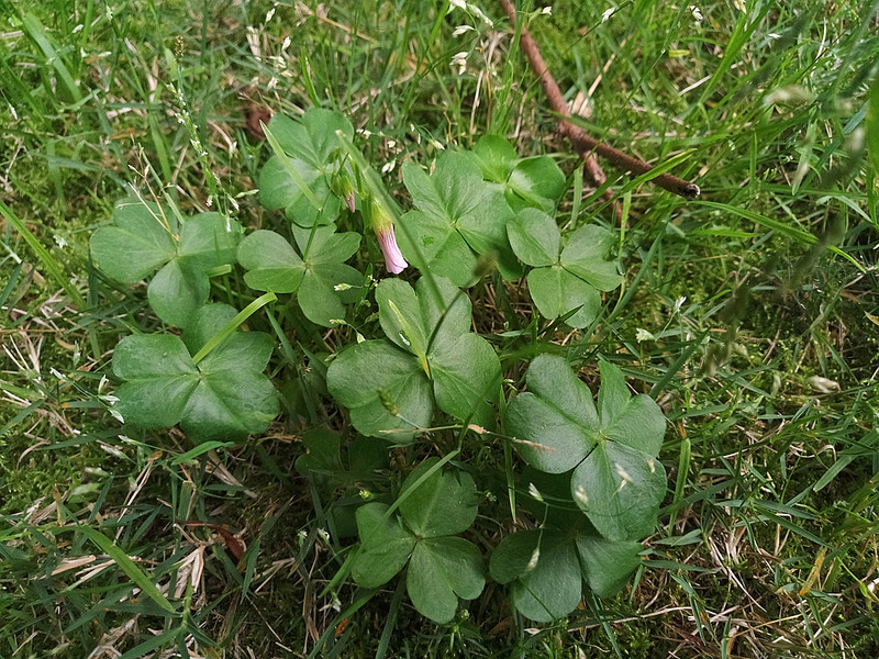 #轻易不说完美#小有乾坤，薄中见锐！魅族PRO6拍摄的魅力（八）