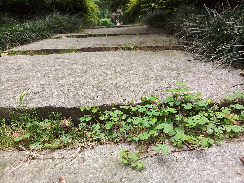 #轻易不说完美#小有乾坤，薄中见锐！魅族PRO6拍摄的魅力（八）