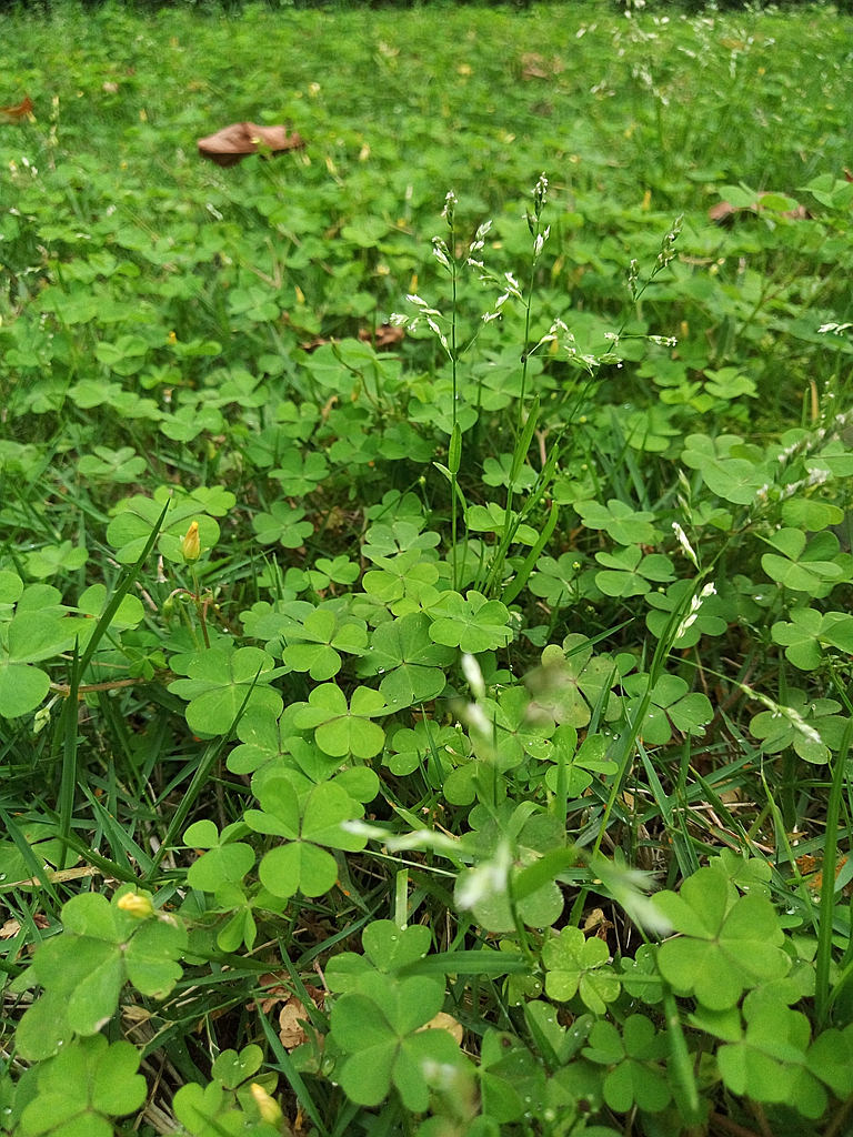 #轻易不说完美#小有乾坤，薄中见锐！魅族PRO6拍摄的魅力（八）