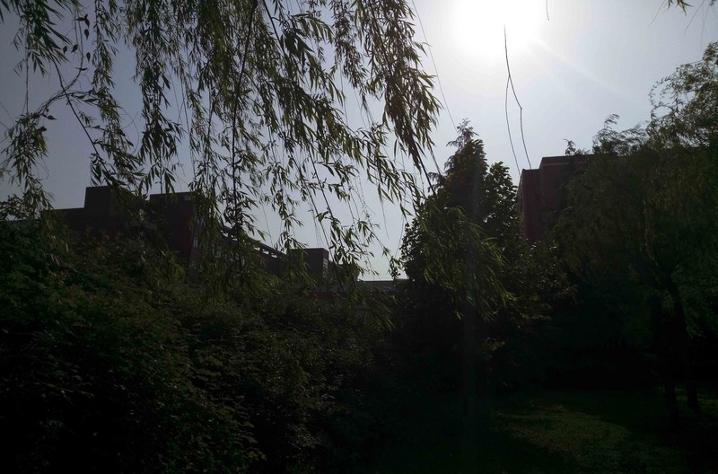 #轻易不说完美# 魅族PRO6专项测评(一)——【PRO6/iPhoneSE/iPhone6s】相机PK战