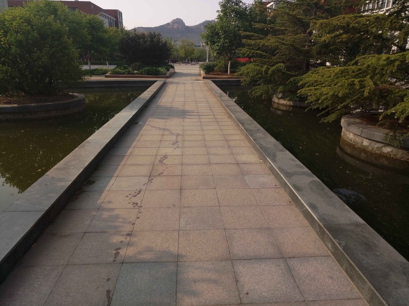 #轻易不说完美# 魅族PRO6专项测评(一)——【PRO6/iPhoneSE/iPhone6s】相机PK战