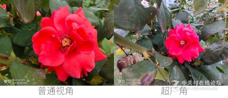 超大广角、流光溢彩？X23真机抢先上手详细体验