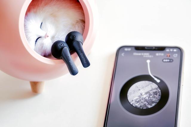 音乐不止是声音也是你的个性，PaMu Unique真无线耳机体验