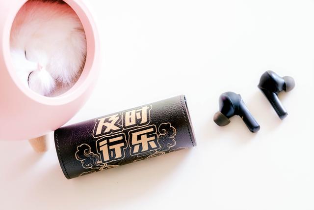 音乐不止是声音也是你的个性，PaMu Unique真无线耳机体验