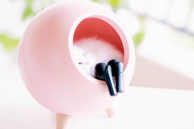 音乐不止是声音也是你的个性，PaMu Unique真无线耳机体验