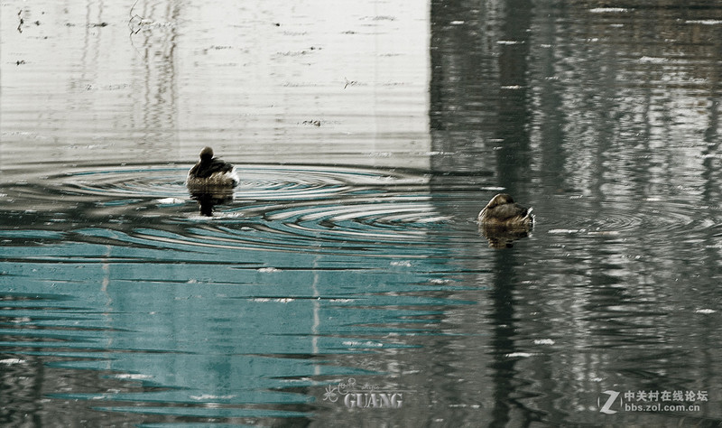 阴（霾）天的别样风景