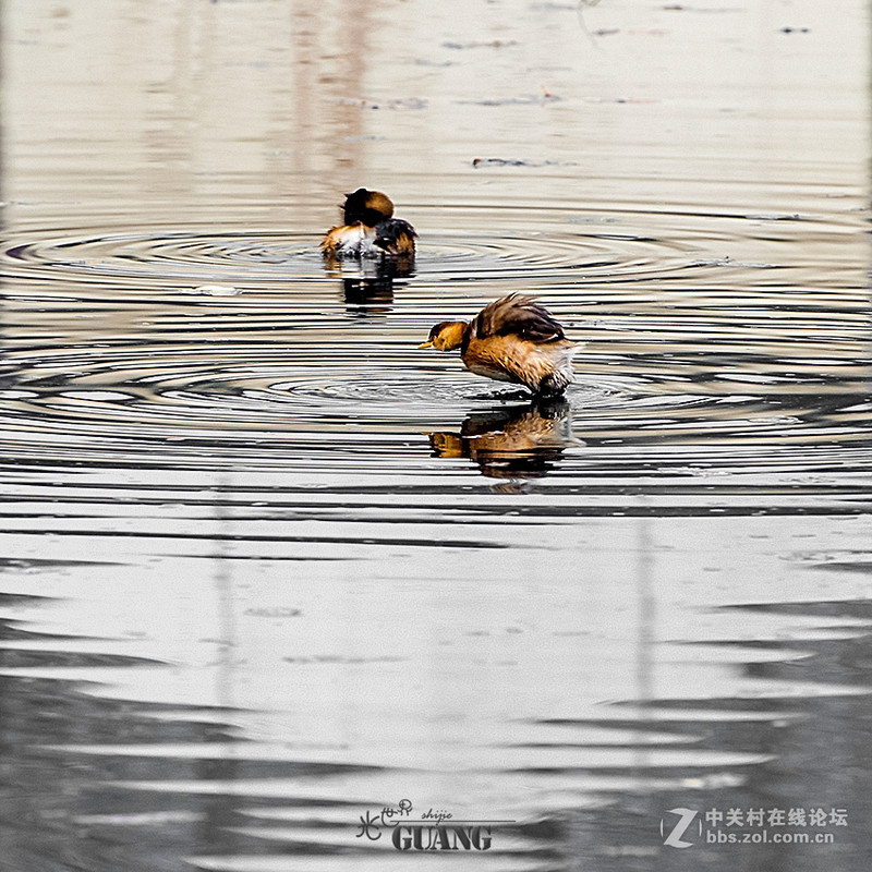 阴（霾）天的别样风景