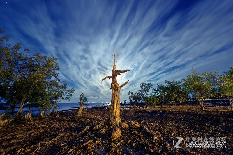 世界最广大光圈定焦镜头12mmF2.8样片