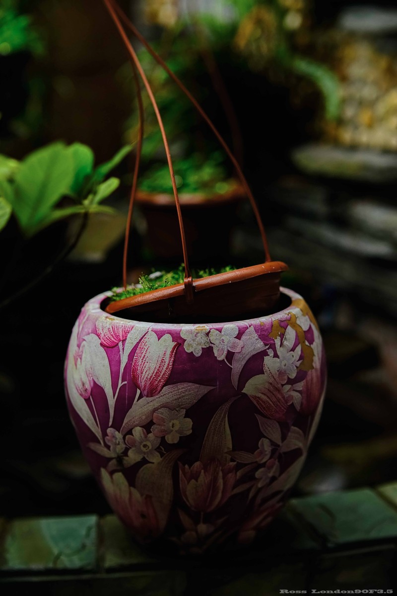 Sｏｎｙ　Ａ７Ｒ＋Ｒｏｓｓ　ｌｏｎｄｏｎ９０F3.5