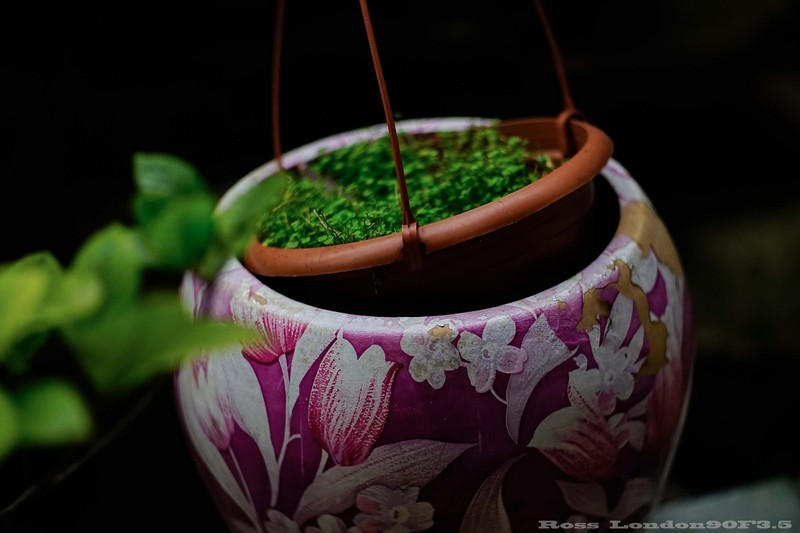 Sｏｎｙ　Ａ７Ｒ＋Ｒｏｓｓ　ｌｏｎｄｏｎ９０F3.5