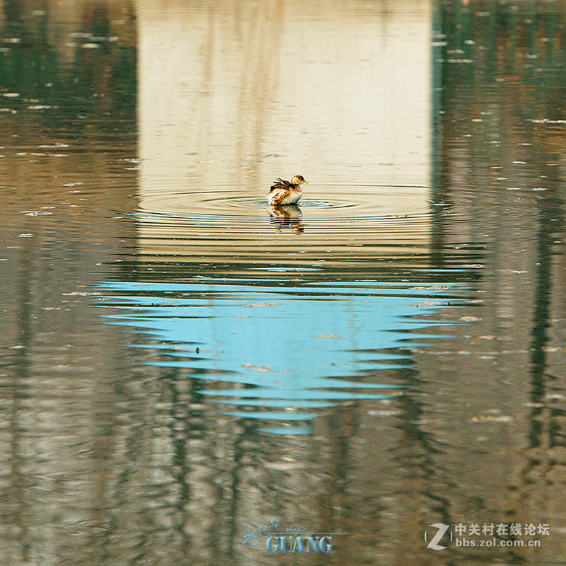 阴（霾）天的别样风景