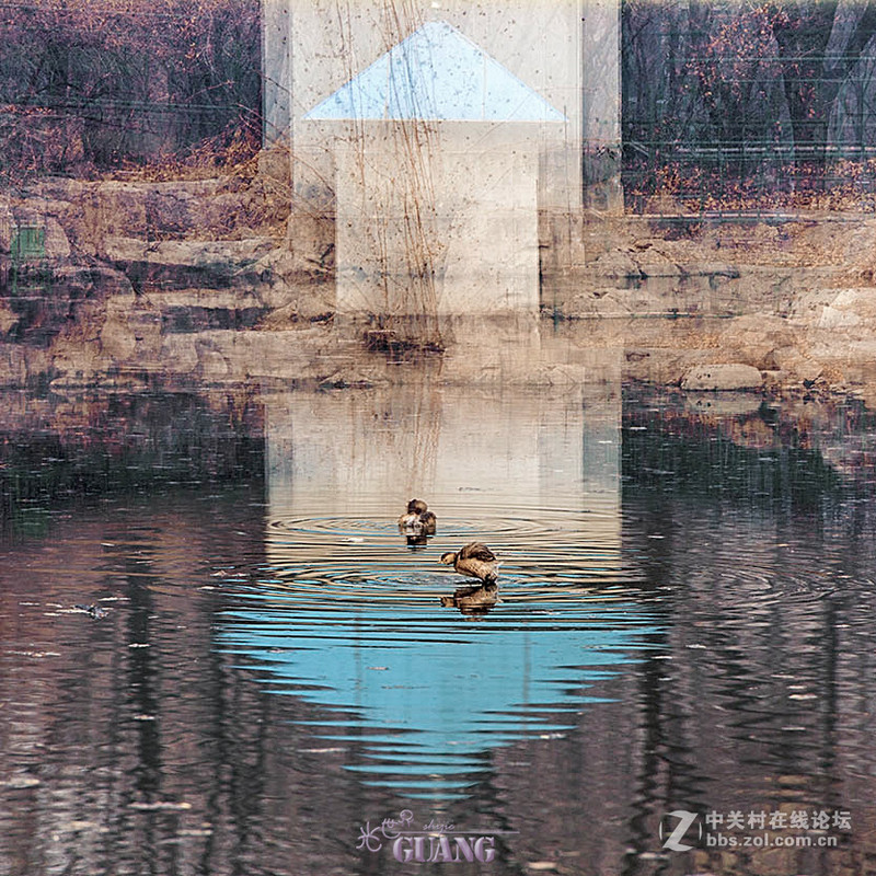 阴（霾）天的别样风景