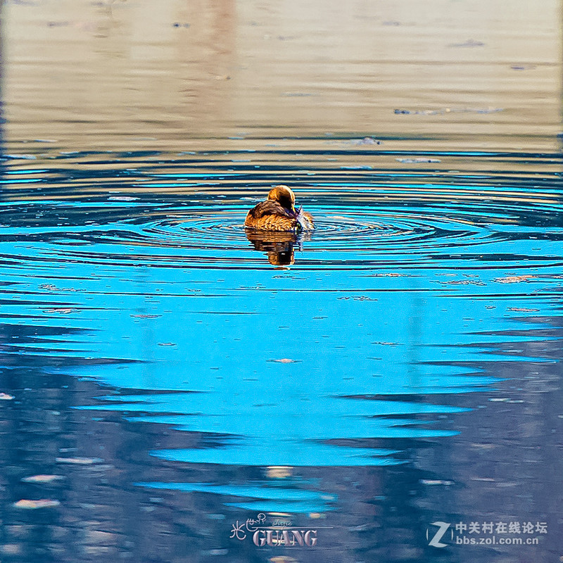 阴（霾）天的别样风景