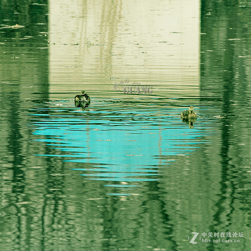 阴（霾）天的别样风景