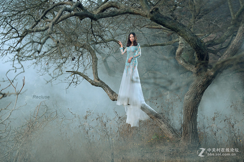 #版主坐堂#《人像版优秀作品》2017年1月