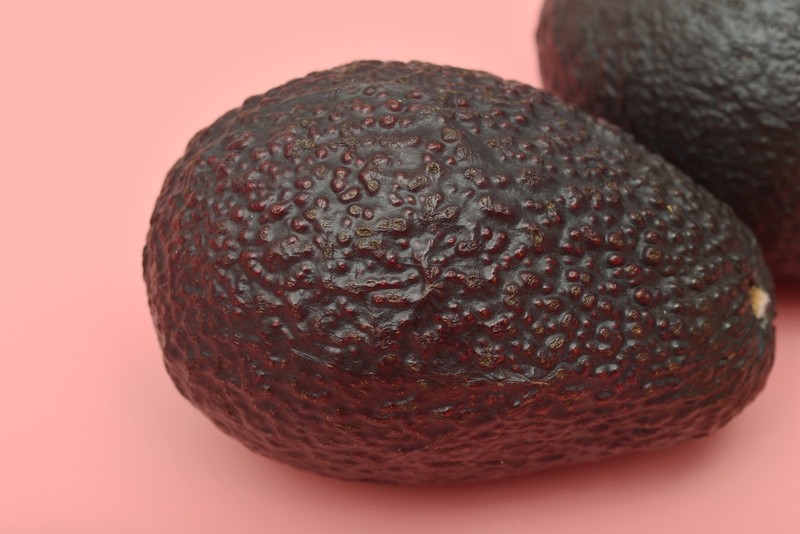 专治偏食的小孩，九阳料理机diy奶昔